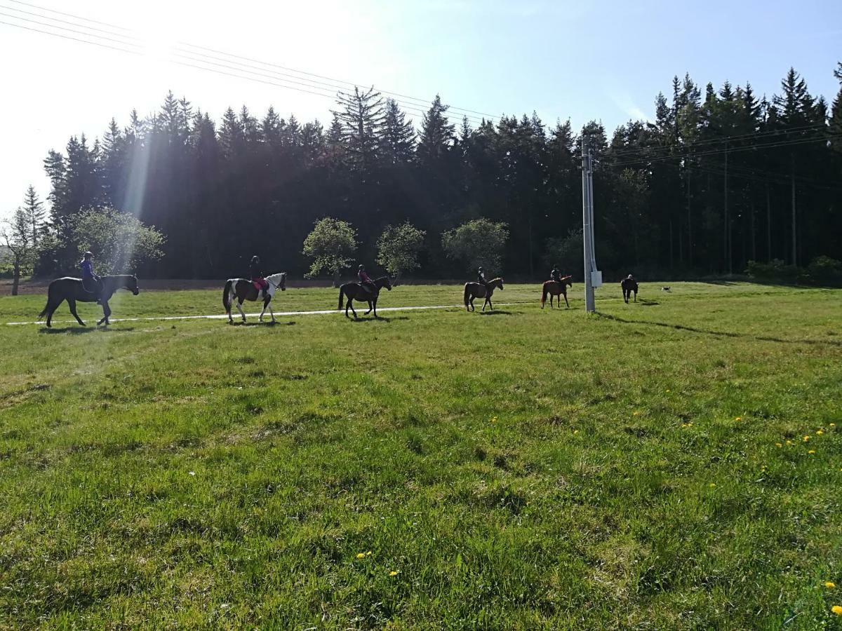 Ferienwohnung Farma Ranch Jelemek Nebahovy Exterior foto