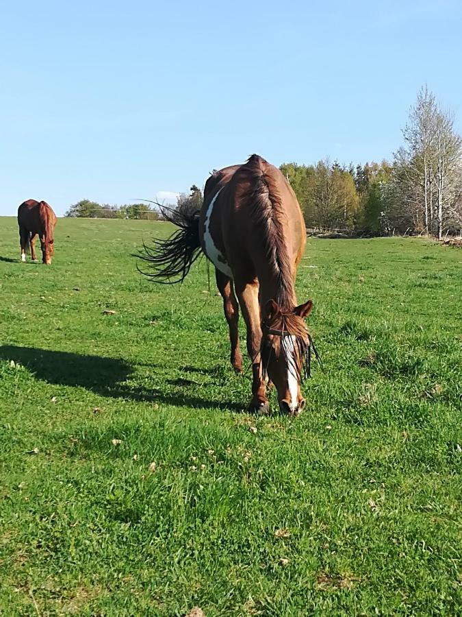 Ferienwohnung Farma Ranch Jelemek Nebahovy Exterior foto