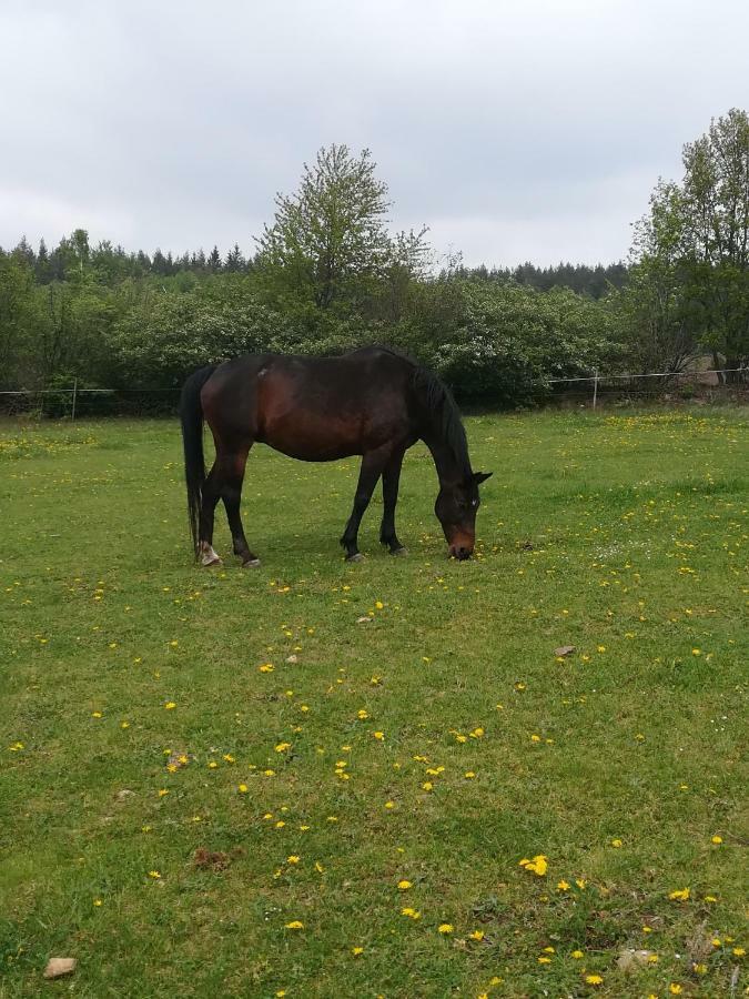 Ferienwohnung Farma Ranch Jelemek Nebahovy Exterior foto