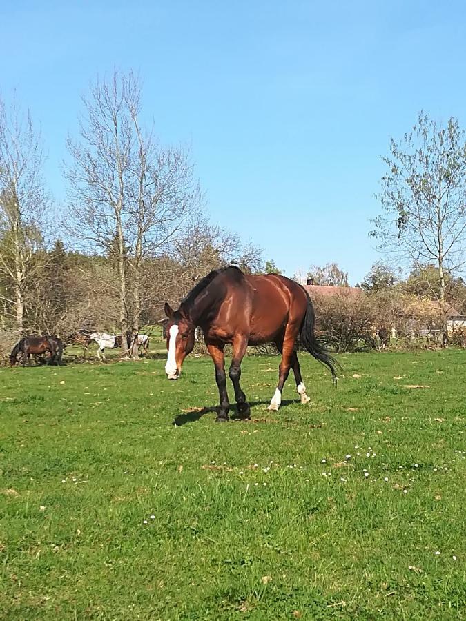 Ferienwohnung Farma Ranch Jelemek Nebahovy Exterior foto